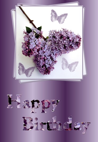 lilac 