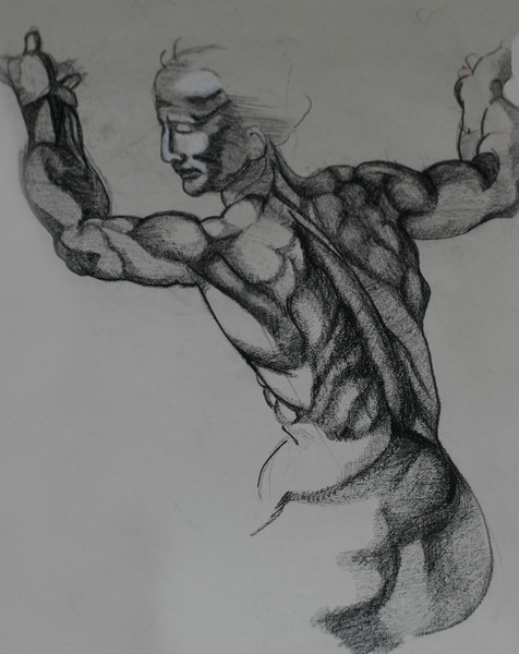Michelangelo Study