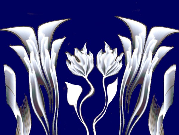Ice Flowers