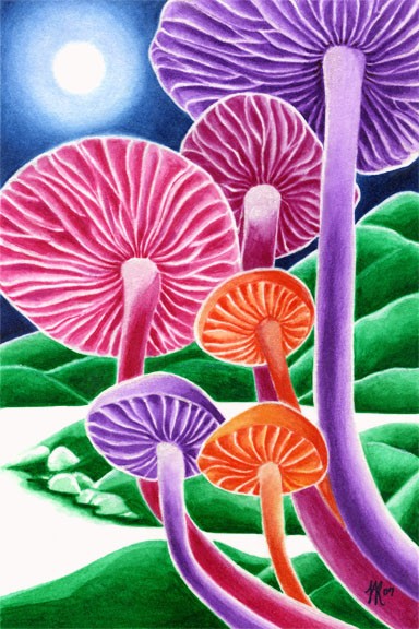 Moon Lit Mushrooms