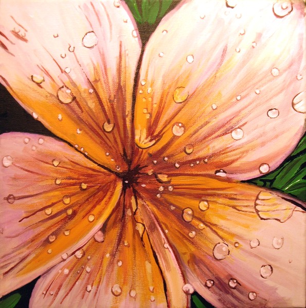 Frangipani 2