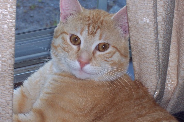 George2
