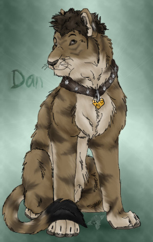 Dan Cutie