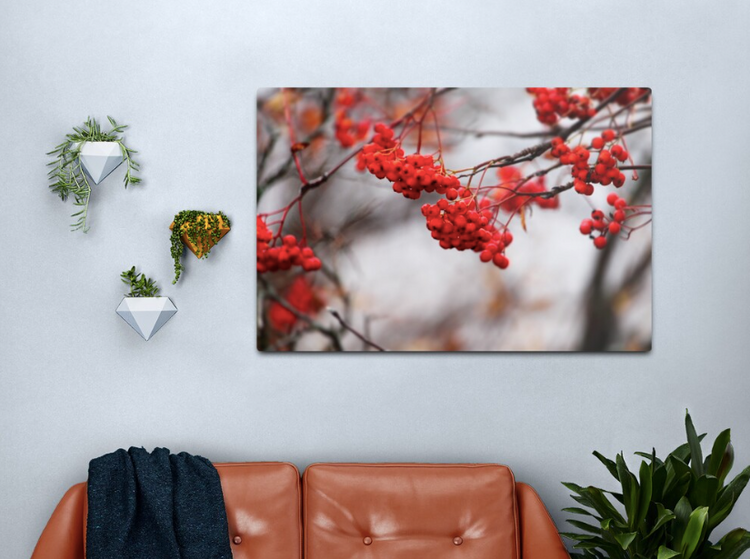 Autumn berries by Veera Zukova