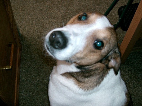 Here's lookin' at you!