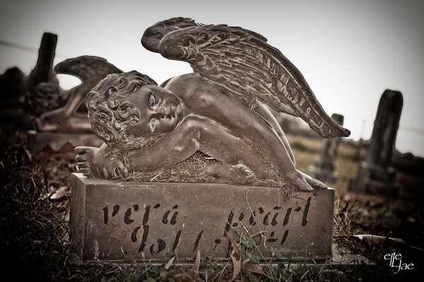  Cemetery #3