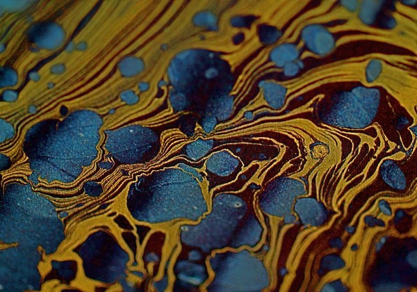 Blue Portals