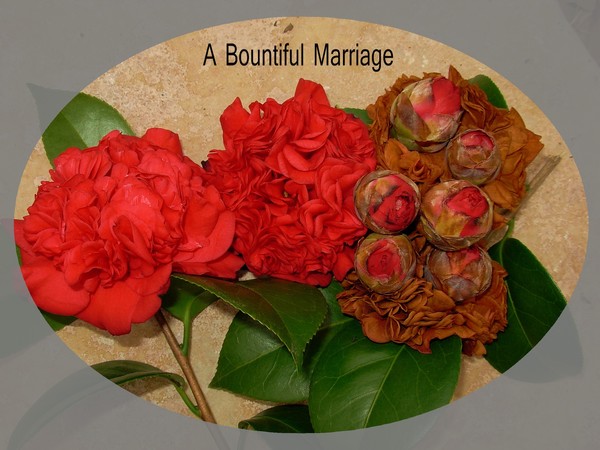 Bountiful Marriage