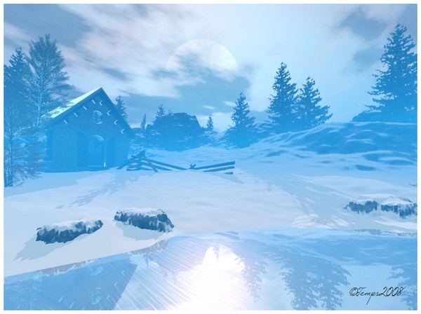 Winters Reflections