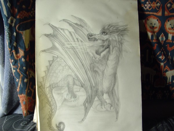 A mother Dragon