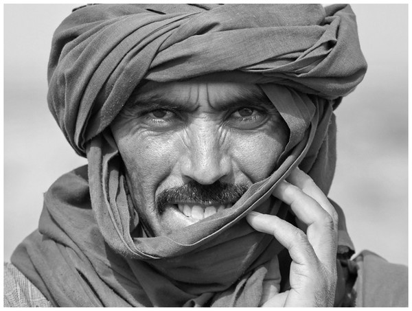 The Bedouin 