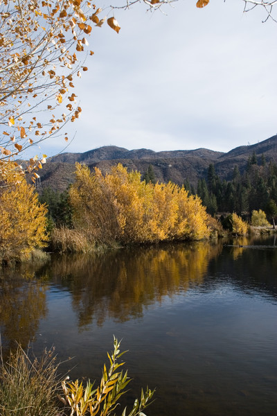 Fall Magic
