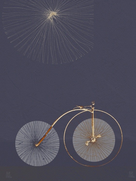bike 2
