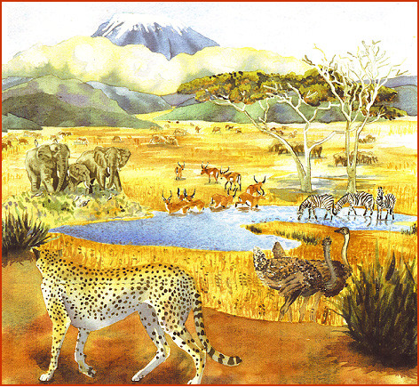 Africa