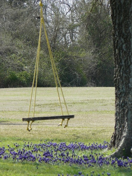 Swing