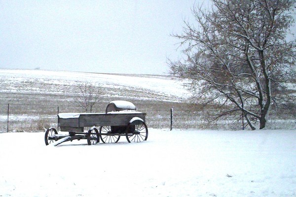 winter wagon