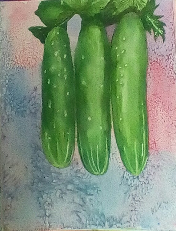 Cucumbers