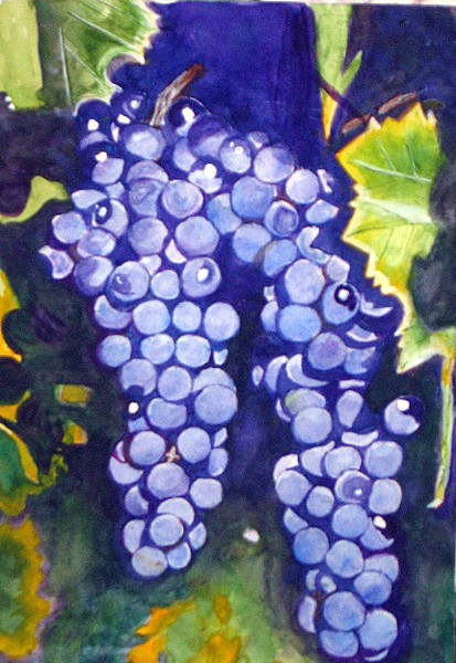 Concord Grapes