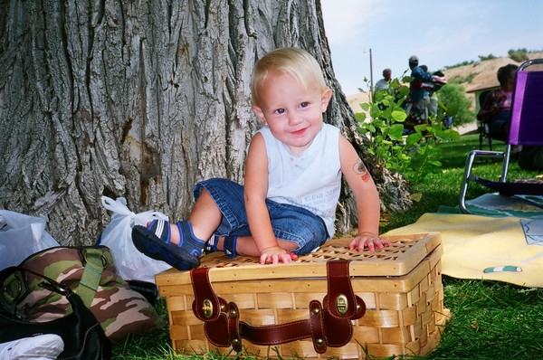 Basket Guard