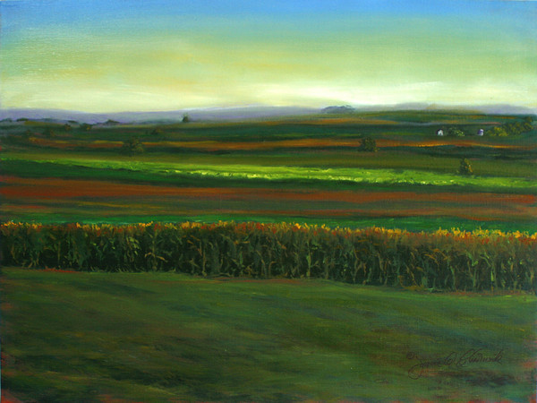 LAYERED FIELD-LANCASTER COUNTY,PA