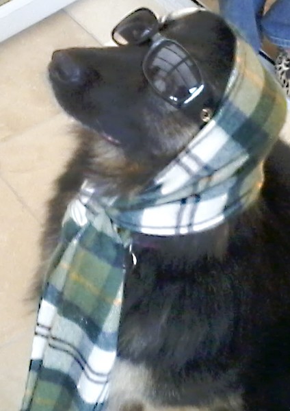 MacMolly
