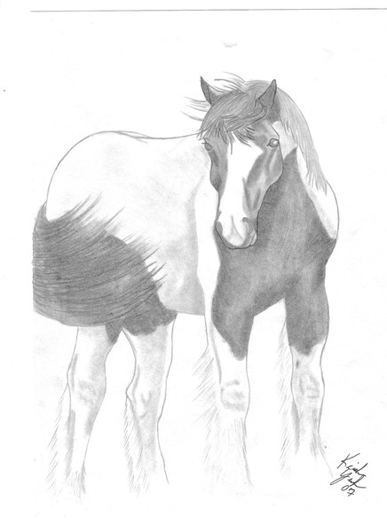 Gypsy