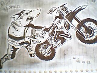shark byK