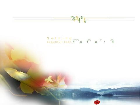 Nature Wallpaper