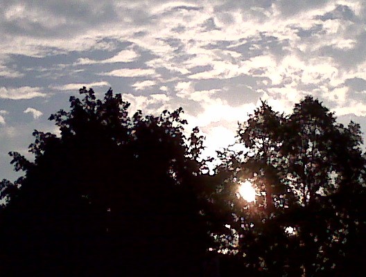 Vic Park Early Morn