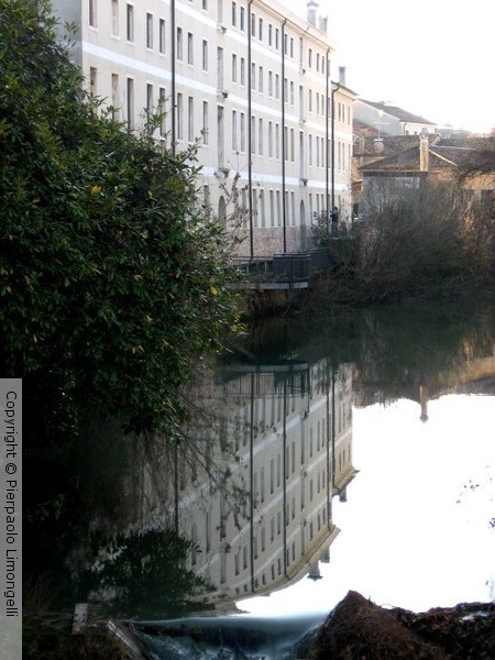 Riflessi nell'acqua