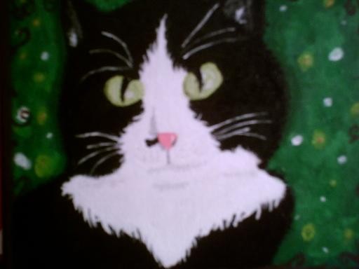 Jack My Kitty