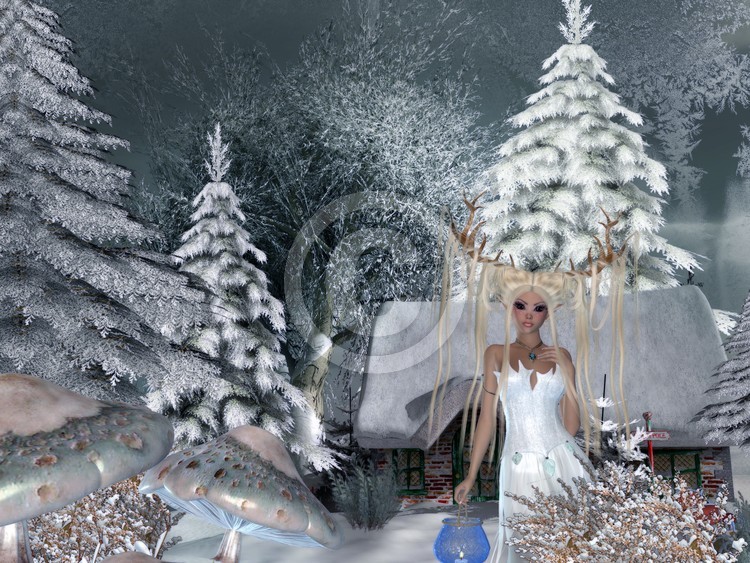 Secret In The Forest