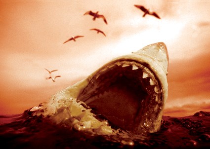 Great white