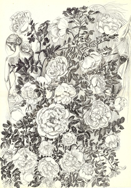 FLOWERS OF LIFE