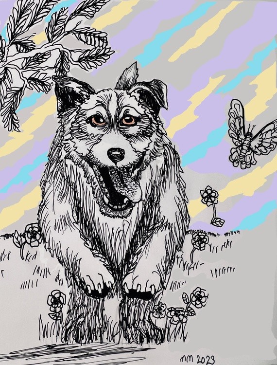 Dog chasing butterfly