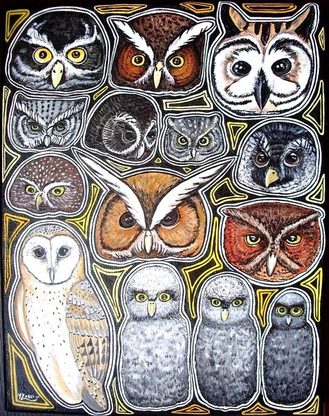 Owls