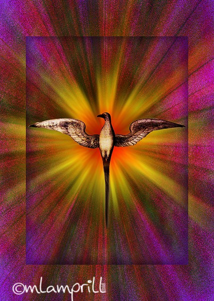 Flight