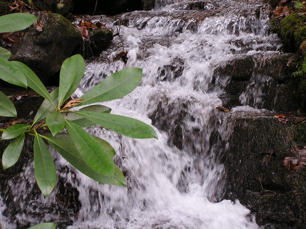 BackBone Waterfall