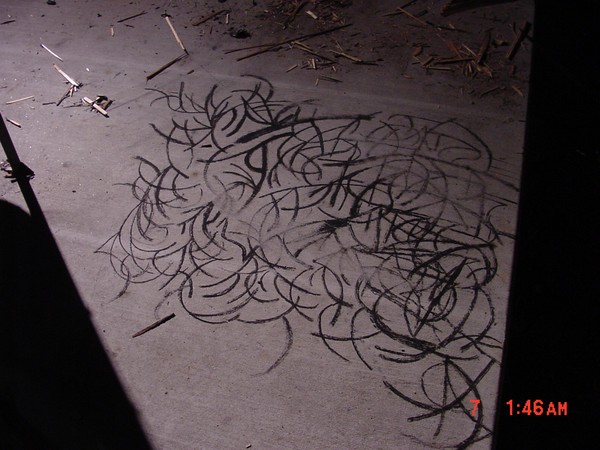 sticks