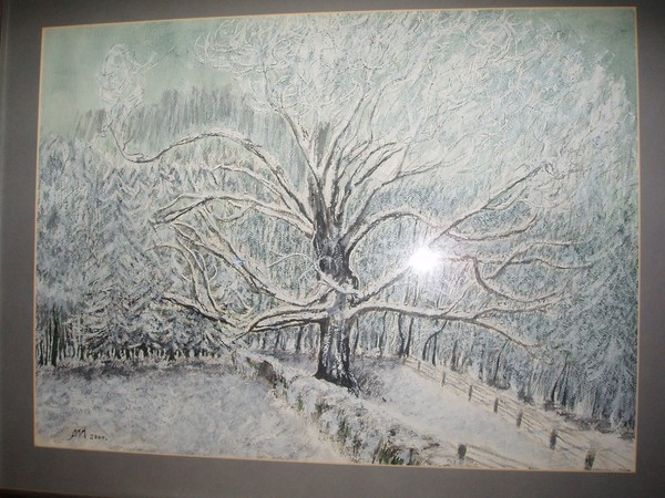 the old oak