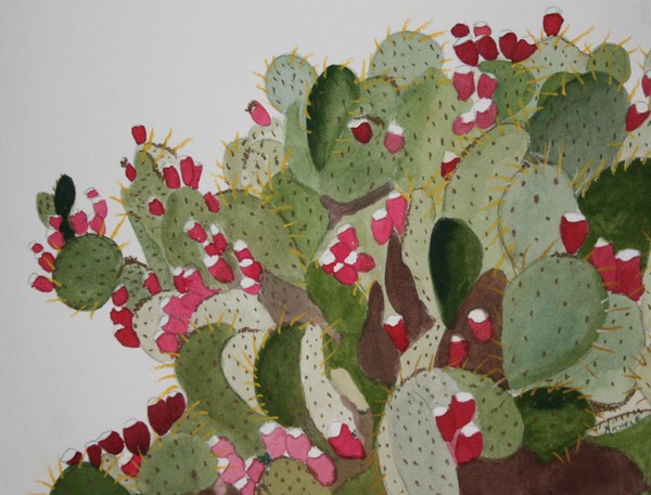 Prickly Pear