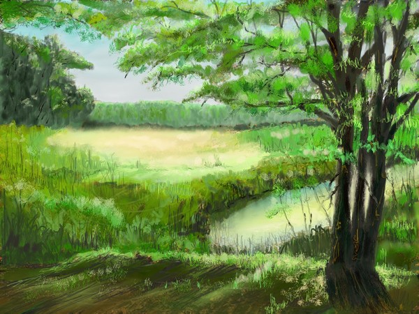 Early morn in Spring