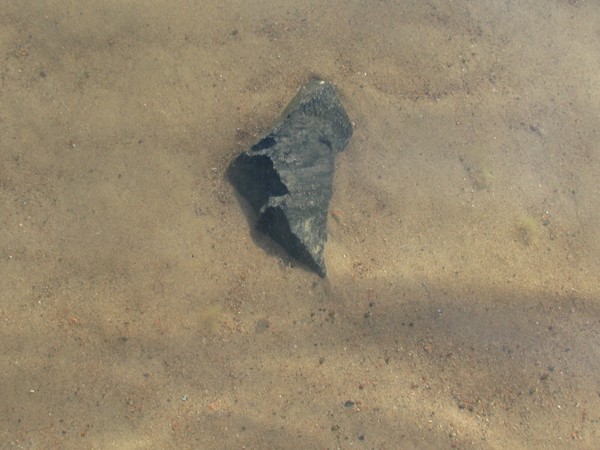 ON THE BEACH...