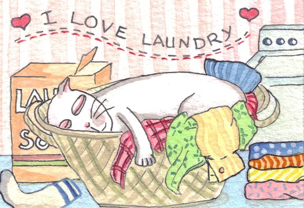 I Love Laundry 