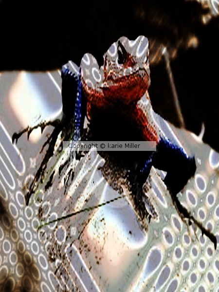 reptiles 1