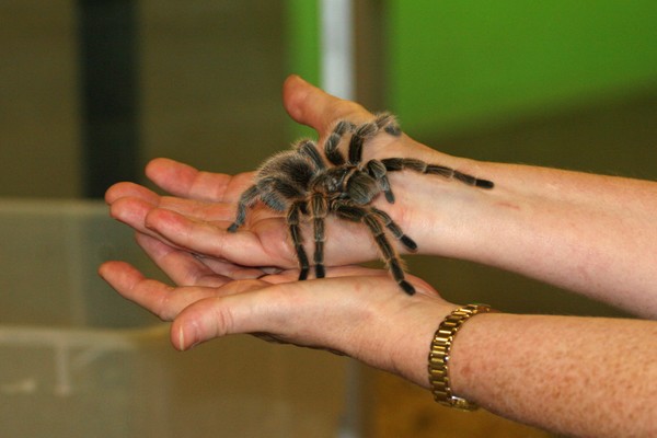 Not My Hands!