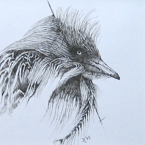 Bird with Arrow