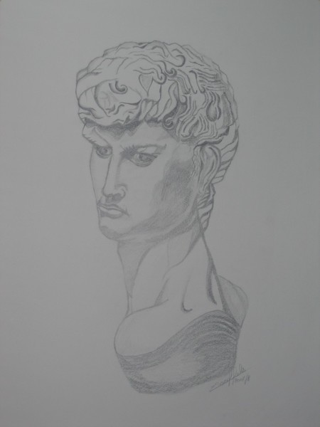 david