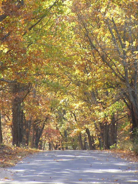 Country Road