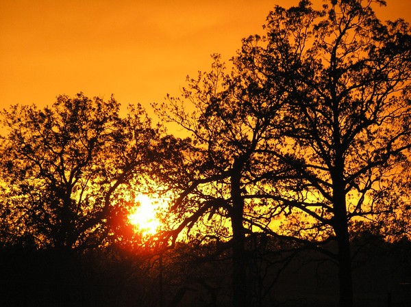 Fire in the sky